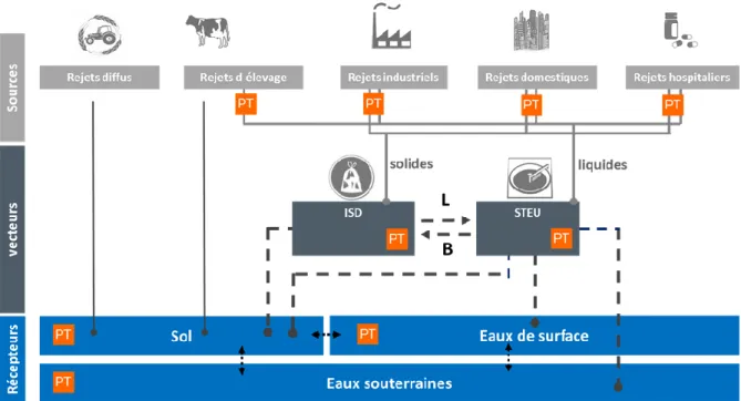 Figure  7  :  Sources  et  vecteurs  des  contaminants  émergents  et  de  leurs  produits  de  transformation (PT) dans l’environnement