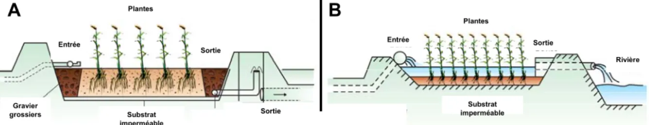 Figure A-5: Configuration d’une zone tampon à (A) écoulement de subsurface vertical et à (B)  écoulement de surface libre (Kadlec et Knight, 1996)