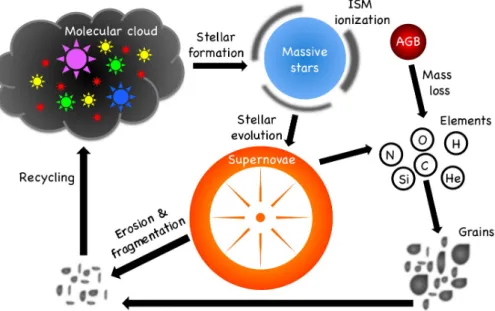 Fig. 1.11. Schematic view of the processes of matter recycling in the ISM. Credits: F