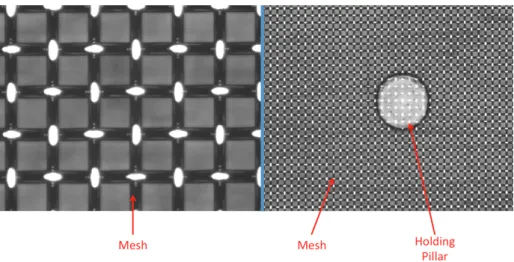 Figure 3.2: Top view of the piggyback components. Top: woven mesh. Wire thickness = 18 µm, hole width = 45 µm