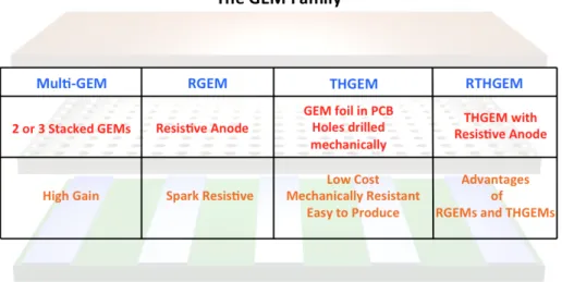 Figure 2.18: The GEM architecture family.