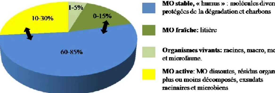 Figure 1.5 : Composition et distribution des matières organiques des sols d’après Saljnikov et al