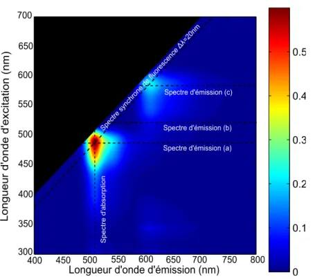 Figure 1.5  Matrice d'excitation-émission du mélange GFP/mCherry. Les lignes correspondent aux spectres d'émission (ex : λ exc = 488 nm)