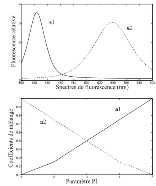 Figure 2.1  Spectres de uorescence simulés (s 1 et s 2 ) de deux protéines uorescentes (longueurs d'ondes comprises entre 400 nm et 600 nm) et coecients de mélange utilisés (a 1 et a 2 ) pour simuler les réponses antagonistes de deux gènes en fonction d'un