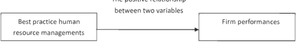 Figure 1  the best practice perspective theory 