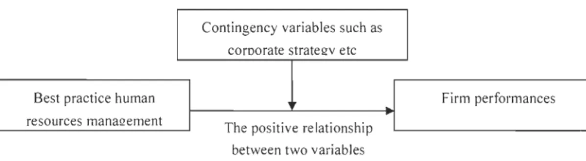 Figure 2  Conti ngency perspective theory 
