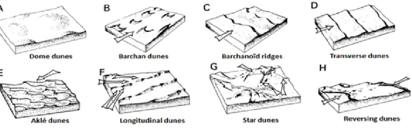 Figure I.1 – Exemple de classification de dunes en fonction de leurs formes.