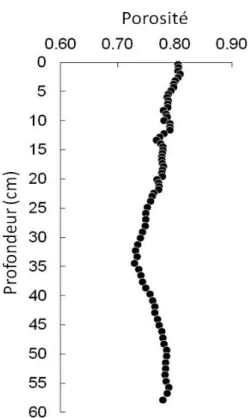 Figure 12 – Profil de la porosité en fonction de la profondeur des sédiments de la carotte C1
