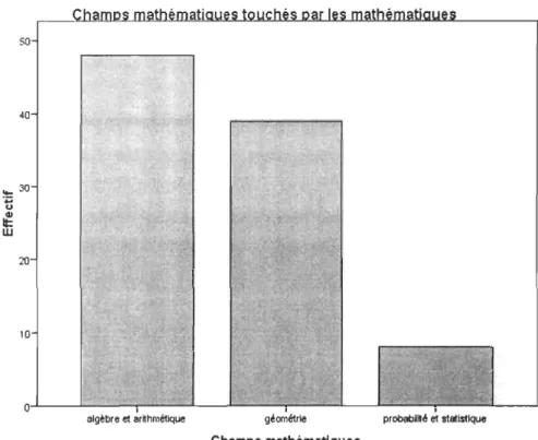 Figure 4.5:  Champs mathématiques dans «Perspective» 