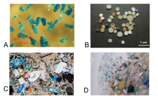 Figure 12: Microplastiques primaires: A) MP extraits d'un dentifrice, B) Granulés de pré-production  industrielle (d'après UNEP, 2016) et microplastiques secondaires :  C) Méso, macro et microplastiques 