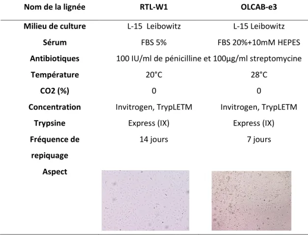 Tableau 3: Conditions de culture des deux lignées cellulaires RTL-W1 et OLCAB-e3 
