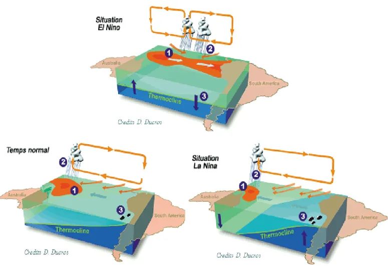 Figure 4 : Structure du système couplé océan-atmosphère Pacifique lors d’un événement El  Niño (a), de conditions normales (b) et d’un événement La Niña (c)