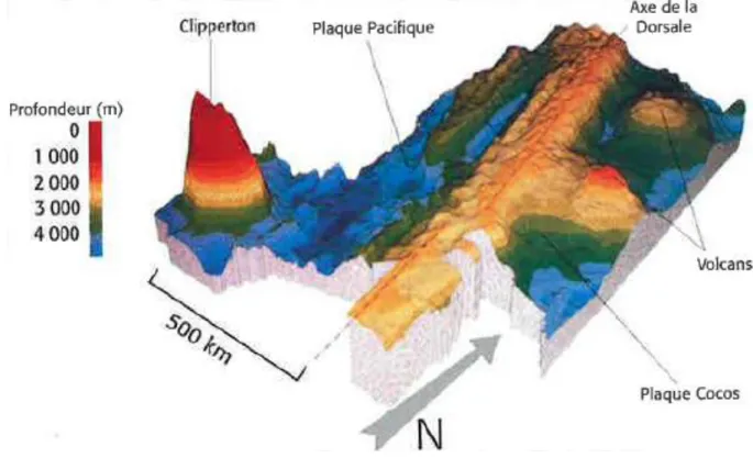 Figure  18 :  Carte  3D  du  relief  sous-marin  autour  de  Clipperton.  D’après  R.Hekinian,  IFREMER dans Charpy, 2009