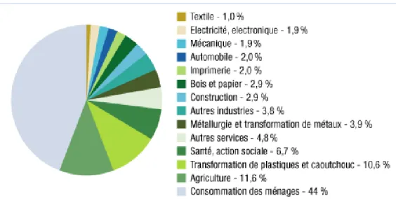 Figure 1 : Répartition des usages des produits chimiques en 1999 en France (Union des Industries  Chimiques, 1999) 