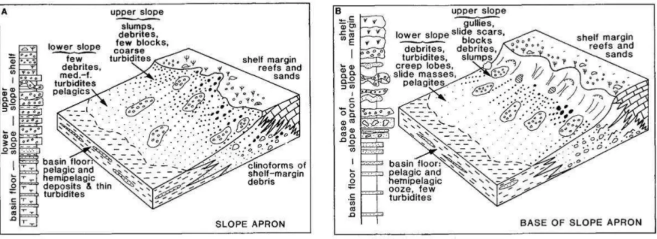 Figure I-13 : Le modèle de « slope apron » et de « base of slope apron » et les associations  de faciès correspondantes (Cook et Mullins, 1983,  modifié de Mullins et Cook, 1986)