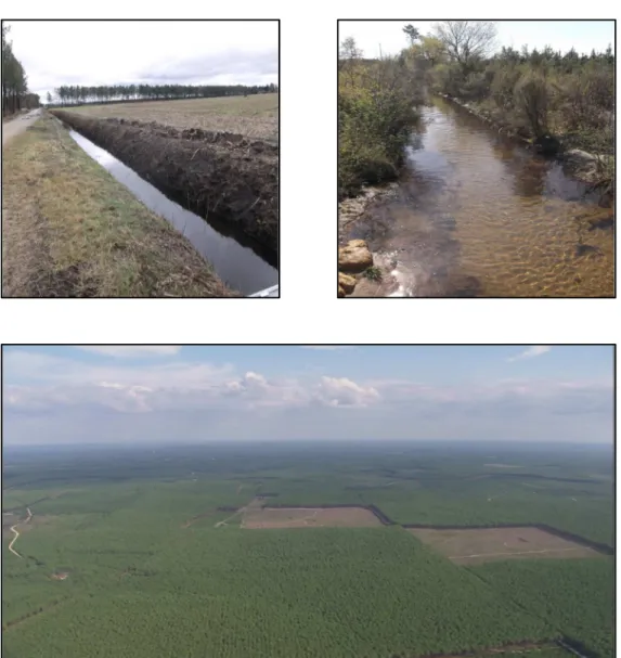 Figure 7 : paysage typique des Landes de Gascogne, fossé de drainage agricole (en haut à gauche),  ruisseau  traversant  une  jeune  parcelle  forestière  (en  haut  à  droite)  et  le  vue  aérienne  (en  bas)  (Sources : Loris Deirmendjian &amp; Google i