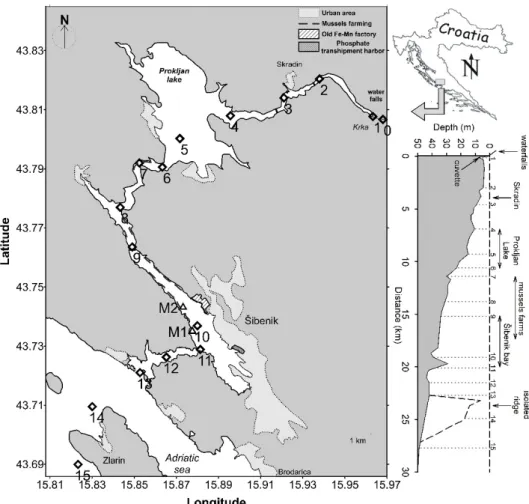 Figure 1.  Map of the Krka River Estuary with marked sampling stations. Right plot shows horizontal bottom depth with marked sites and specific regions (Cindric et al., 2015).