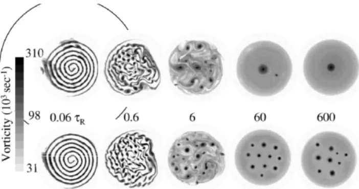 Fig. 6. “Vortex crystals” observed in the experiments of Huang and Driscoll (1994); Fine et al