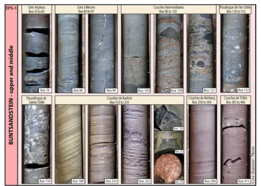 Fig. 6  Photo board of the cores from the upper and middle Buntsandstein, with the Box associated with  the cores; this package is correlated to a formation (with the names and boxes concerned)