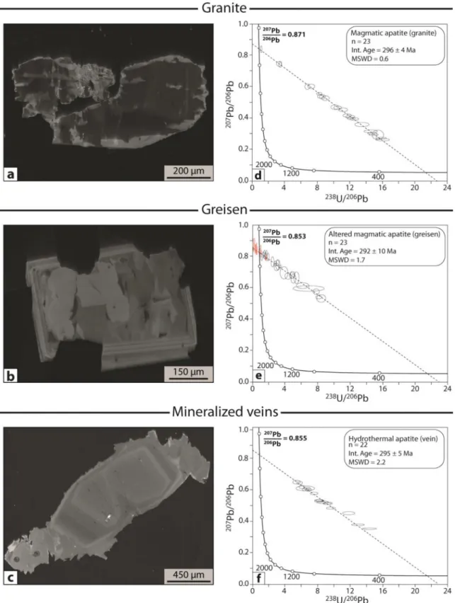 Fig. 11. (a) to (c) Representative cathodoluminescence images of (a) magmatic apatite from two mica granite, (b) altered magmatic apatite from greisen and (c) hydrothermal apatite from mineralized vein selvages