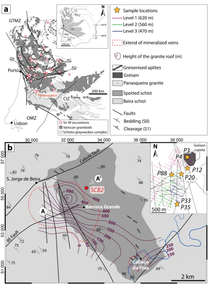 Fig. 1. (a) Tectono-metamorphic map of the Central Iberian Zone displaying spatial relationship between Sn-W occurrences and Variscan granitoids