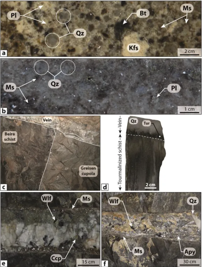 Fig. 3. Textural and mineralogical characteristics of (a) the Panasqueira two-mica granite and (b) greisen in the drill hole SCB2