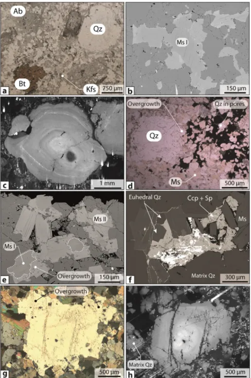 Fig. 4. Photomicrographs, SEM-BSE and SEM-CL images showing the textural characteristics of muscovite and quartz composing the two-mica granite and greisen of Panasqueira