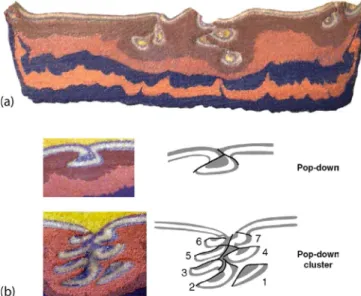 Fig. 8. Pop-down tectonic model underlying that progressive burial of supracrustals is expected to be accompanied by ﬂ uid release and transfer during their compaction, diagenesis, metamorphism, and partial melting