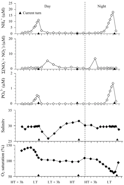 Figure 6: Evolution of nutrient concentrations in the tidal creek at spring during a complete tidal cycle (day-night)