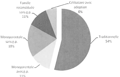 Figure  3. Types de famille. 