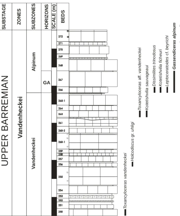 Figure 17. Coupe VIG2 près de Barrême (Alpes de Haute-Provence, Sud-Est de la France), avec la répartition  des faunes d’ammonites