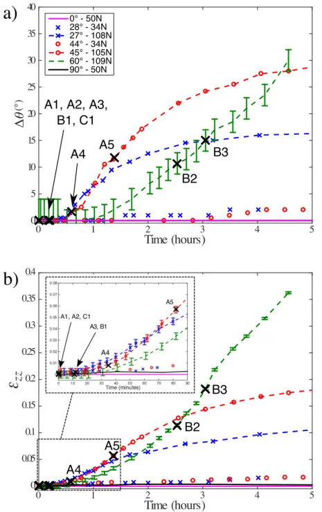 Figure 2.8: Evolution of the (a) rotation angle ∆θ and (b) strain ε zz against time for monocrystalline cylinders of ice (single cylinder configuration)