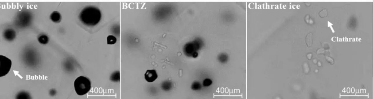 Figure 2.3. Images of air inclusions in the Dome Fuji observed under an optical microscope (Ohno et  al., 2004)
