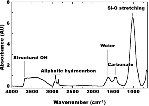 Figure 2.7: The spectrum of the Tagish Lake meteorite shows some features commonly observed the IR spectra of hydrated carbonaceous chondrites (from Matrajt et al., 2004).