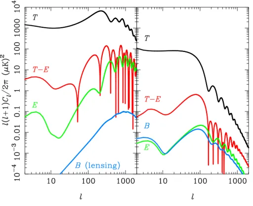 Figure 3.5: Scalar (tensor) contributions to the power spectra T , E and B modes and to the T E correlations on the left (right) panel (from Challinor (2013)).
