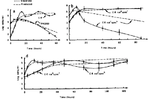 Figure 1.4: Validation of the theoretical competition results with bacteria.