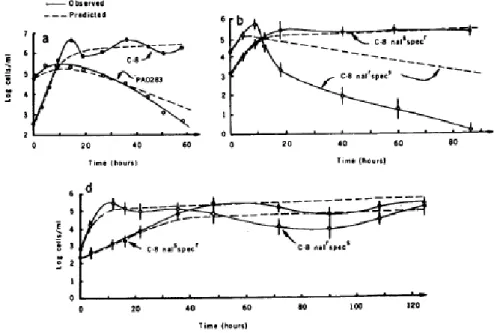 Figure 1.8: Validation des résultats théoriques de la compétition entre des es- es-pèces de bactéries