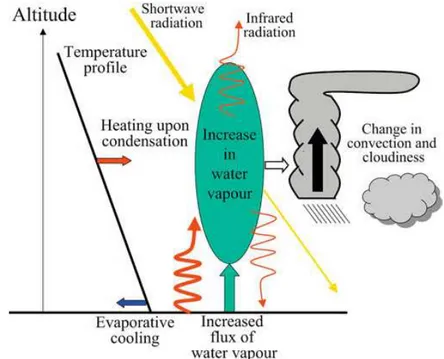 Fig. 2.2  Schéma des processus et propriétés atmosphériques potentiellement causées par l'irrigation (Boucher et al., 2004).