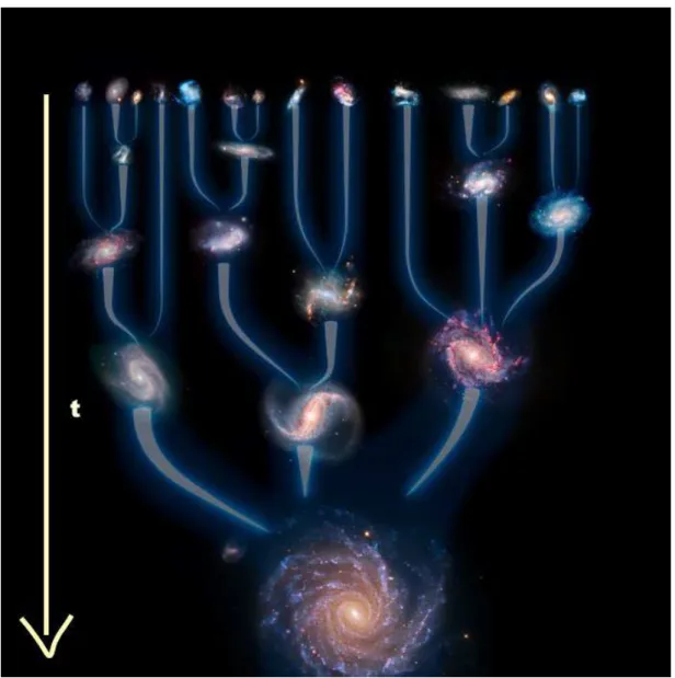 Figure 1.6 – Representation of a merger tree. The disks grow between the mergers. The halos and the bulges grow during mergers