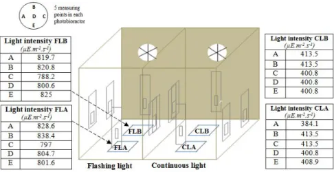 Figure 9 : Schematic representation of experimental setup. In each box of this experimental chamber, grey rectangles indicate the position of the light sources