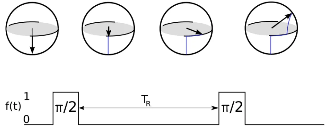 Figure 2: Evolution of the atomic state during an interrogation. In this example, the interrogation is performed near resonance: ∆ ≪ Ω