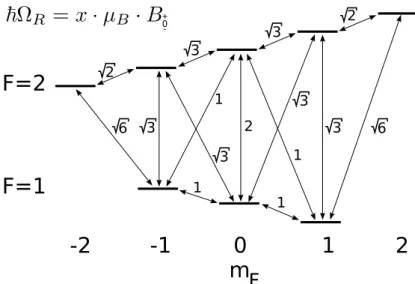 Figure 23: Strengths of the magnetic dipole transitions in the 87 Rb ground state mani- mani-fold