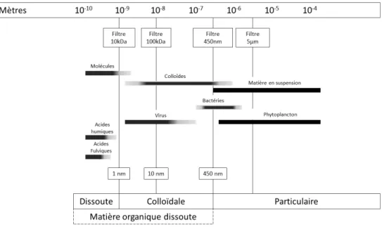 Figure I-4 : Le continuum de taille de la matière organique dissoute dans les environnements aquatiques (d'après Aiken et al