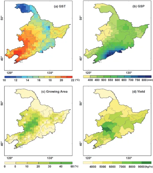 Figure  2.  Spatial  distribution  of  (a)  mean  growing  season  temperature,  (b)  growing  season  precipitation,  (c)  maize  cultivation  fraction,  and  (d)  maize  yield  over  NEC  during  1980-2009