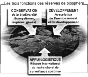 Figure 2.  Les trois fonctions  des réserves de biosphère 
