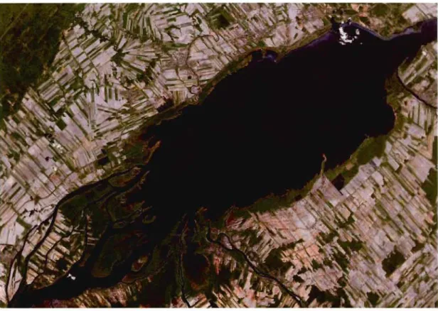 Figure  3.  Le lac Saint-Pierre vu par satellite  Source :  Google Earth, 2007 