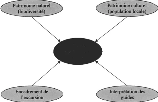 Figure  7.  Modèle liant les facteurs à l'expérience vécue 