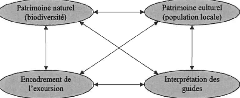 Figure 8.  Schéma des relations entre les facteurs 