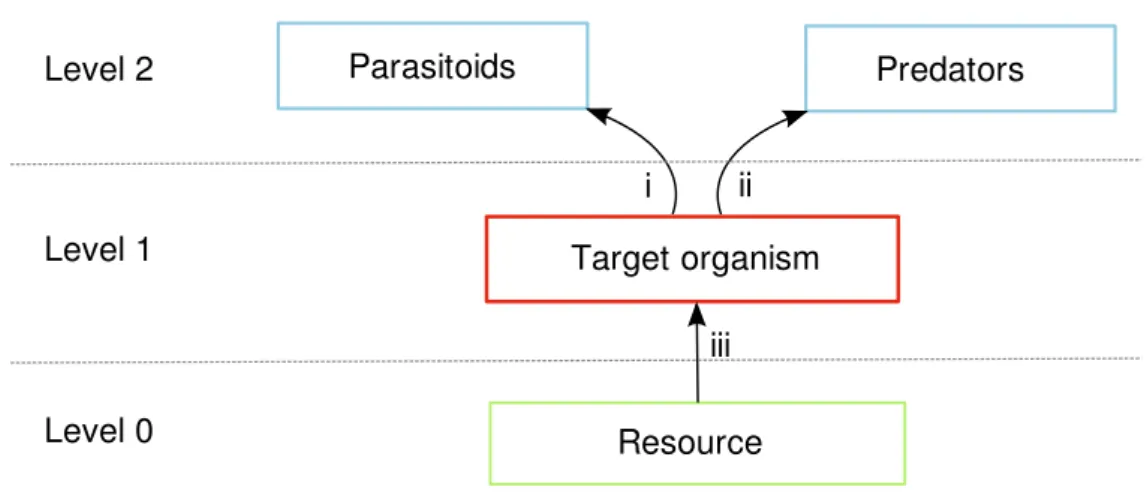 Figure 1.4: Because of the relationships with respect to the herbivory pest (Level 1), predators and parasitoids belong to the same trophic level above the pest (Level 2)  (Be-gon et al., 1996)