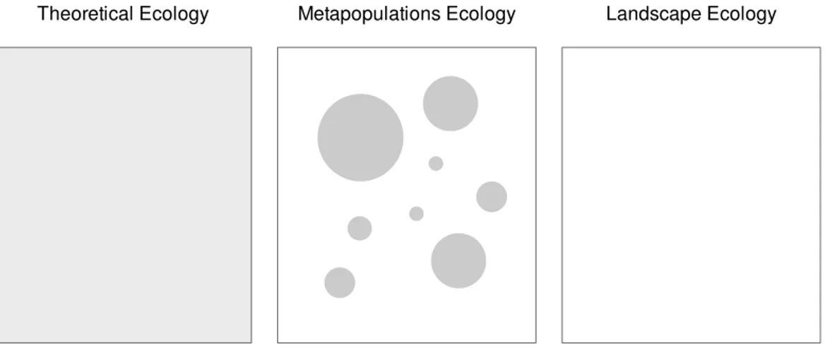 Figure 2.7: Hanski (1998) formulated the metapopulations approach to bridge the gap between theoretical ecology (which consides uniform density and homogeneous  popula-tion interacpopula-tions across landscape) and landscape ecology (which focuses on lands